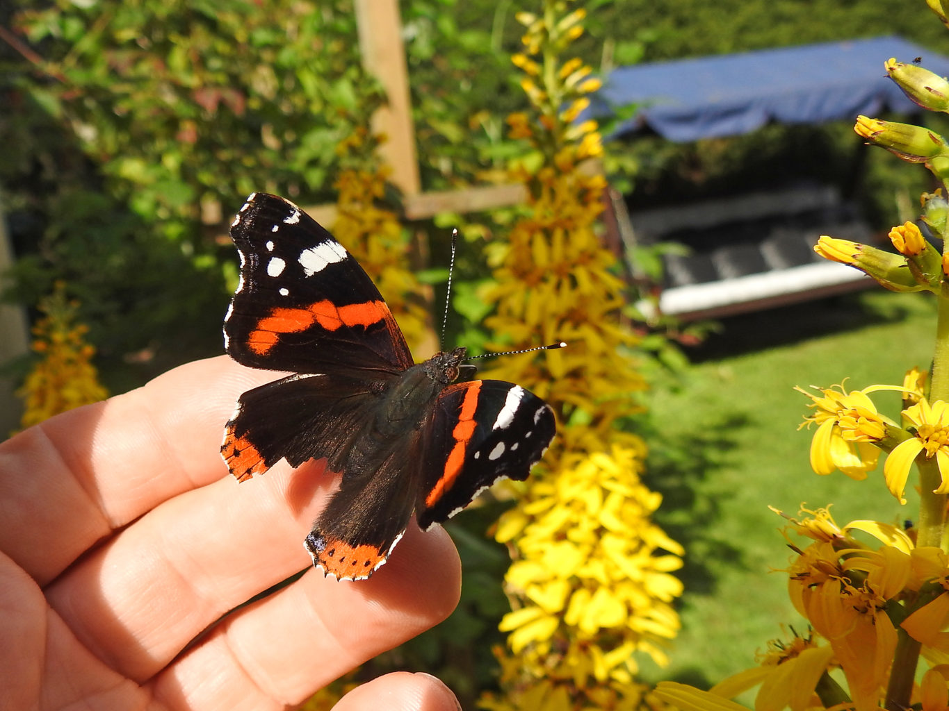 Valokuvaaja: Paavo Siukonen