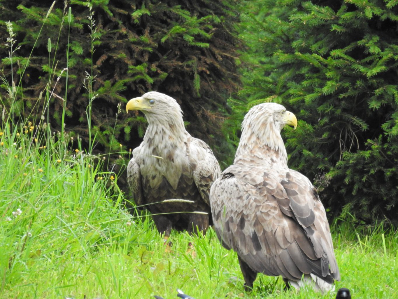 Valokuvaaja: Marja-Liisa  Paavola