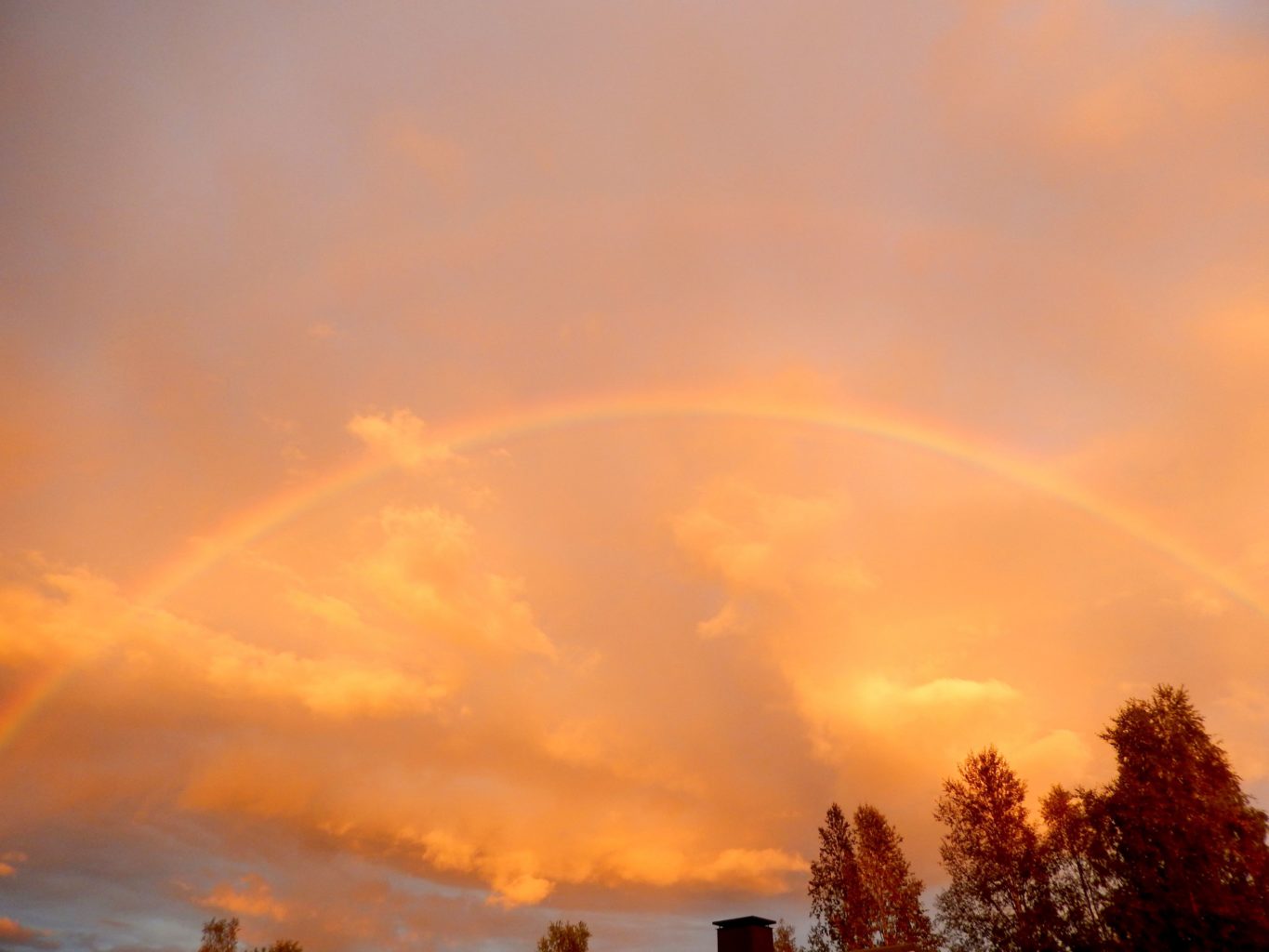 Valokuvaaja: Pirkko Siukonen Valokuvaaja: Pirkko Siukonen