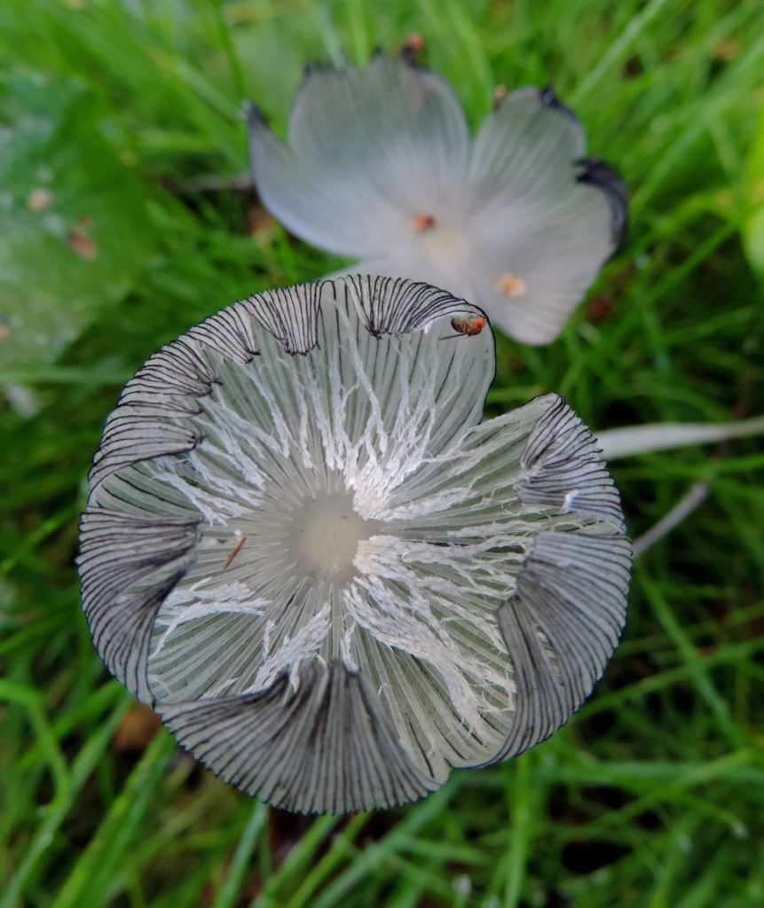 Valokuvaaja: Helena Sytelä