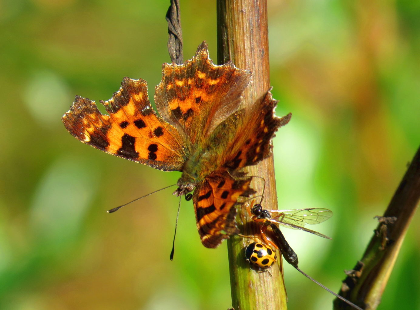 Valokuvaaja: Jaana Talvinen Valokuvaaja: Jaana Talvinen