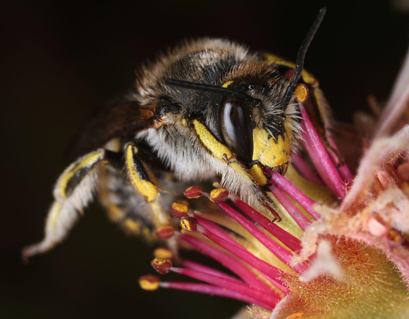Valokuvaaja: Tarja Porkkala
