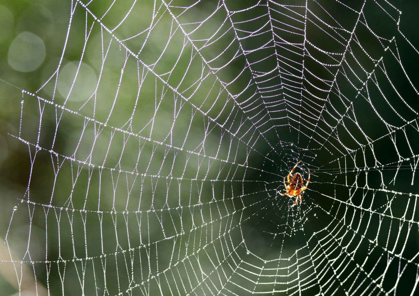Valokuvaaja: Hannu Rasiranta Valokuvaaja: Hannu Rasiranta