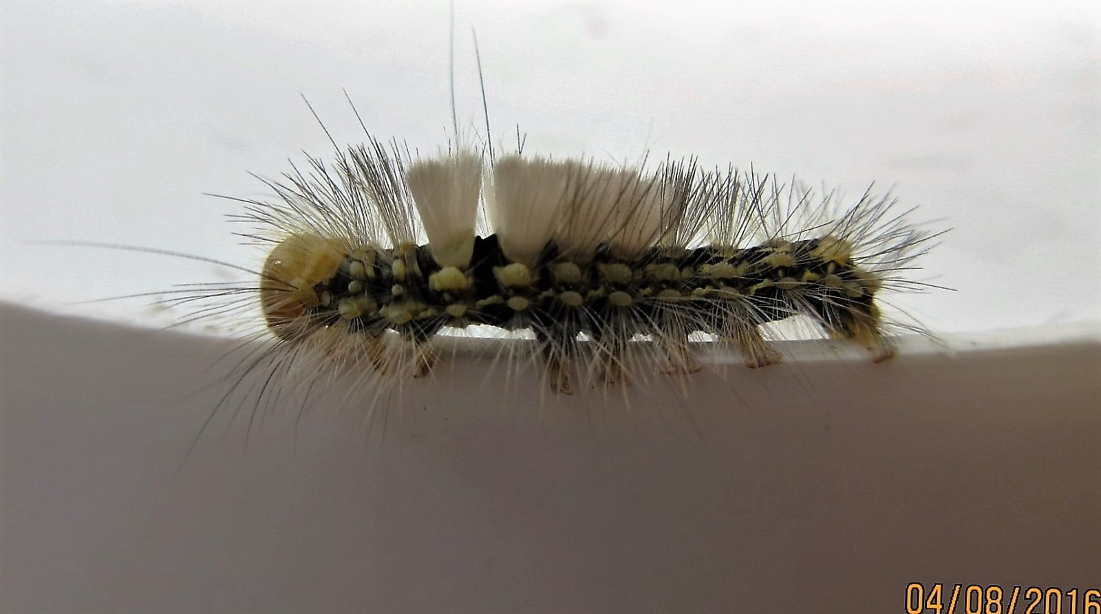 Valokuvaaja: Tuula Makkonen