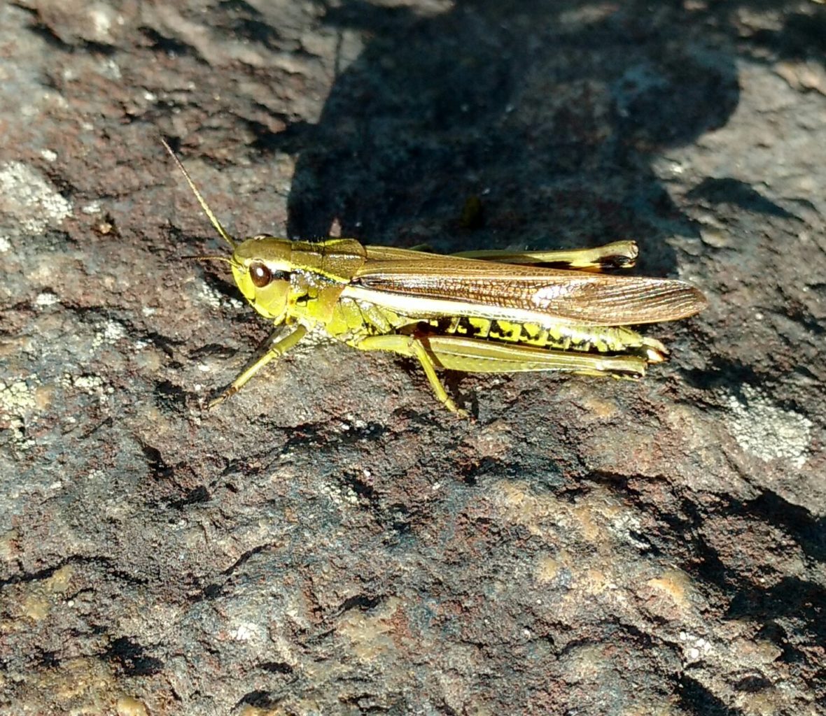 Valokuvaaja: Riikka Savela