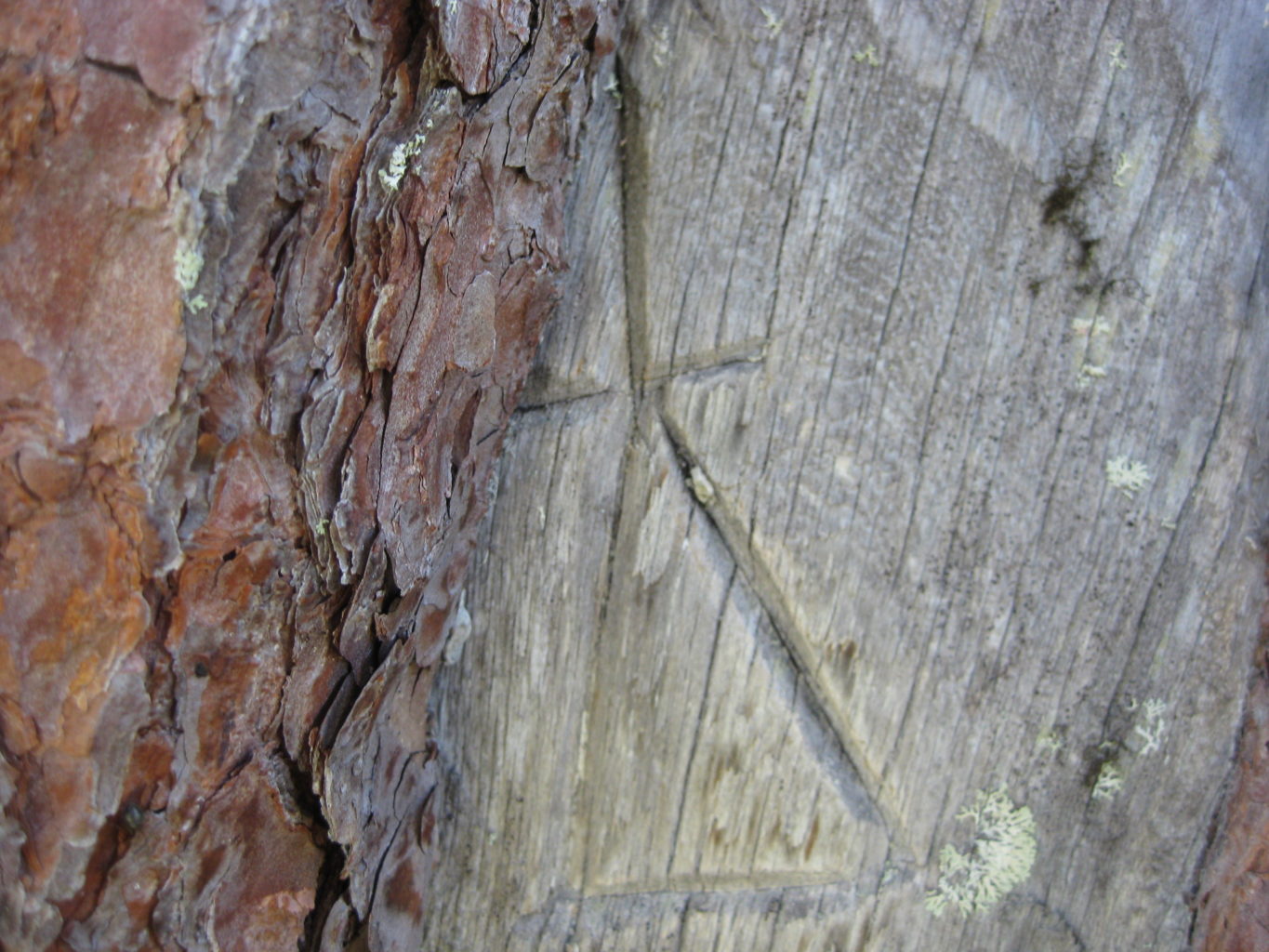 Valokuvaaja: yrjo lukkari