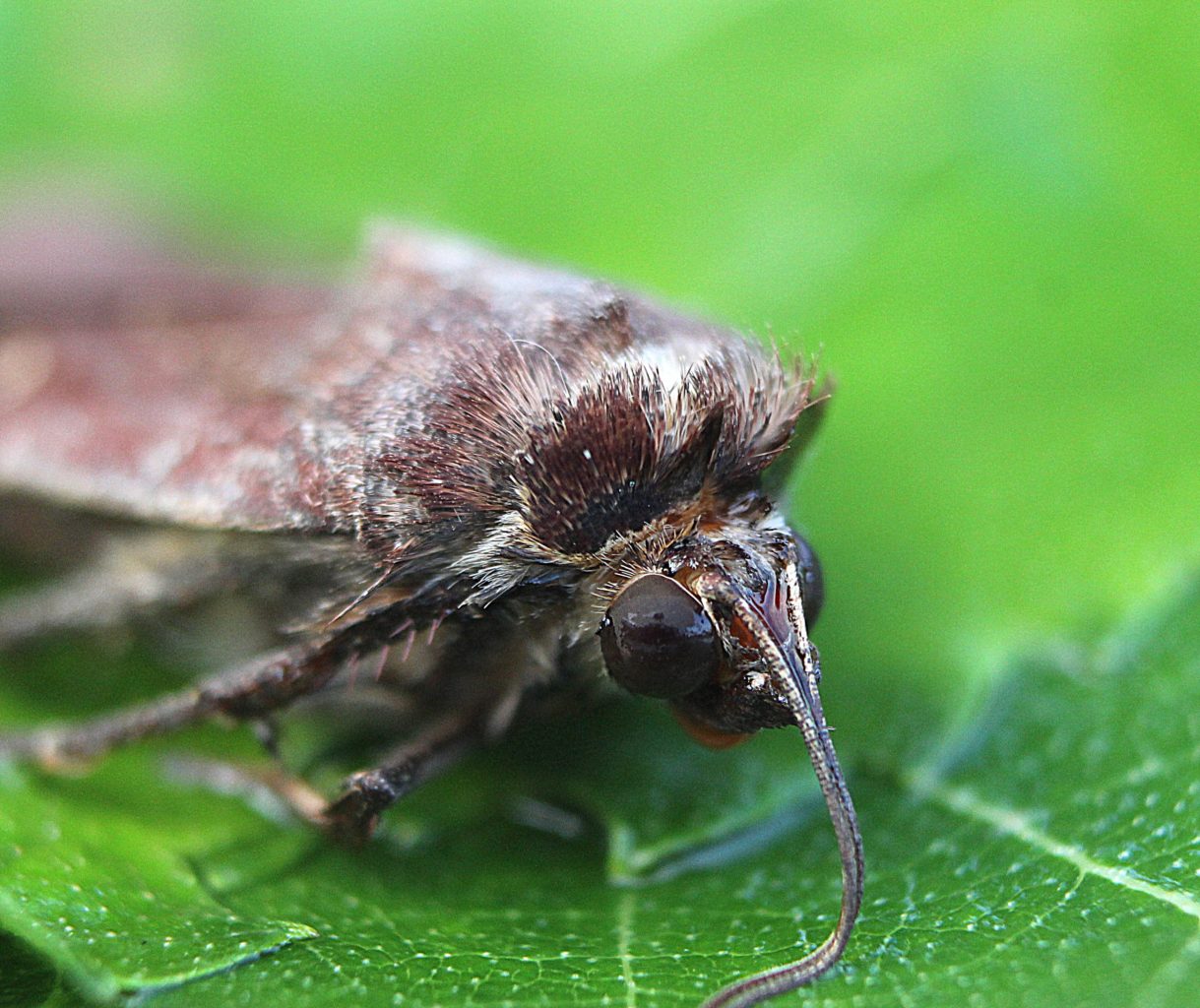 Valokuvaaja: Irja lehtinen