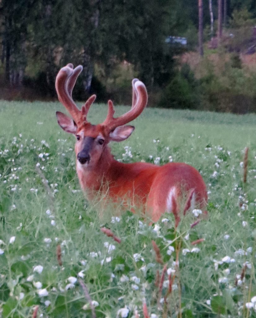 Valokuvaaja: Milja Pakkala