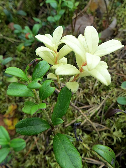 Valokuvaaja: Sirkka Ruotoistenmäki