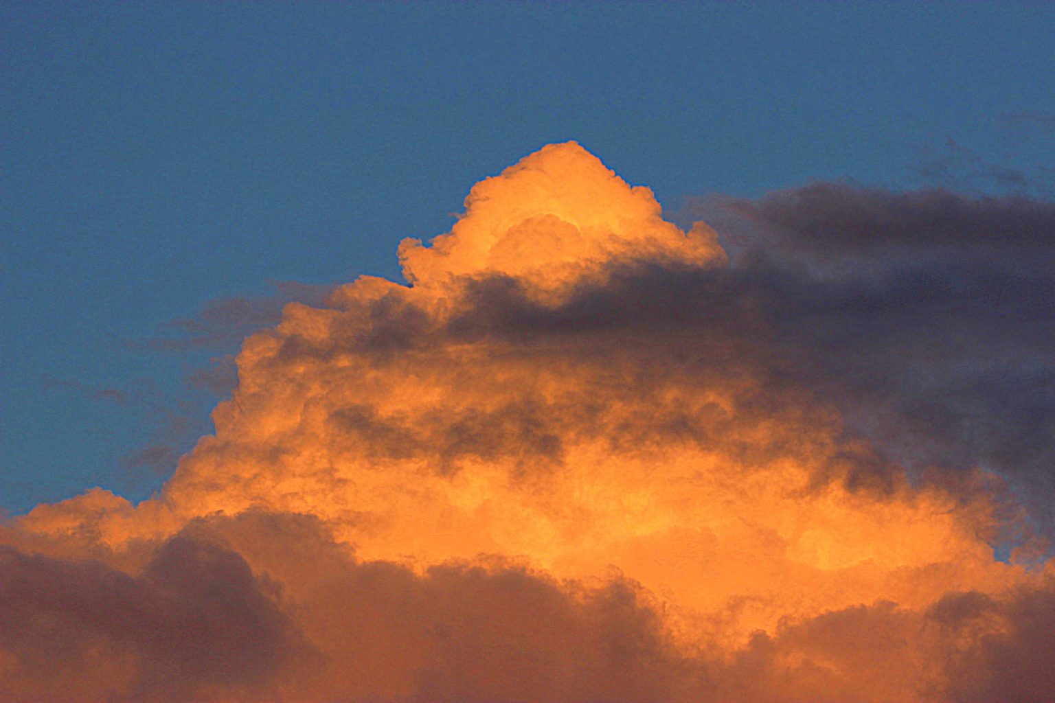 Valokuvaaja: Irja Lehtinen