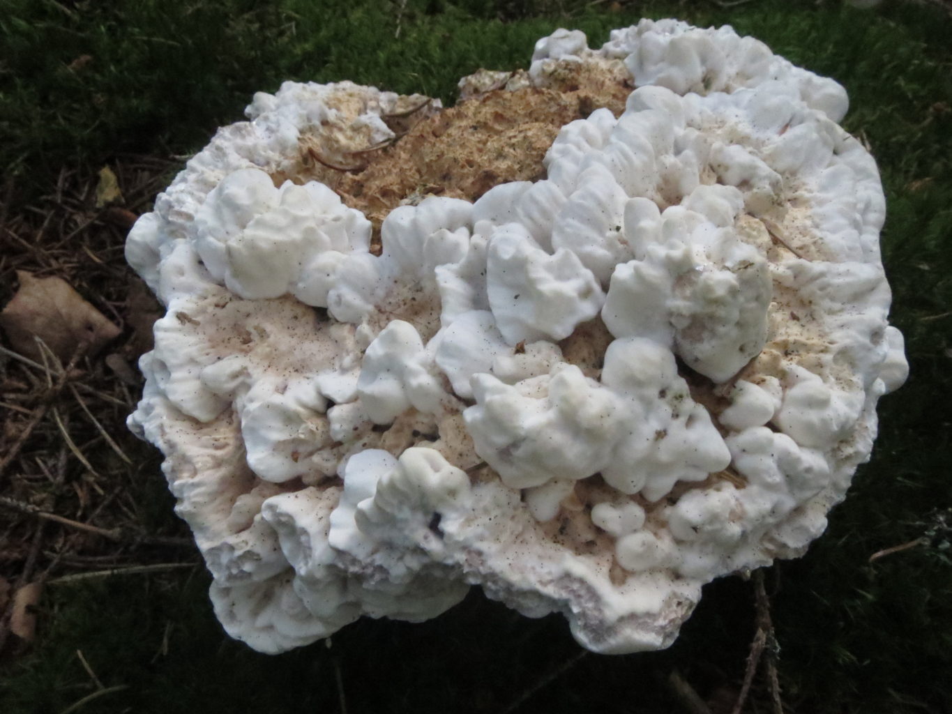 Valokuvaaja: Terttu Rantanen