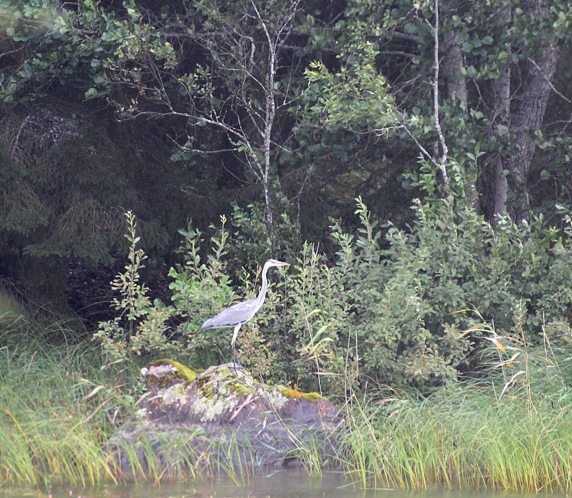 Valokuvaaja: Irja Lehtinen