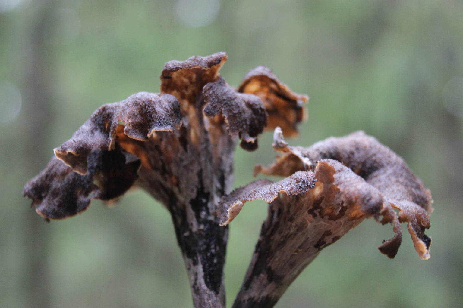 Valokuvaaja: Irja lehtinen