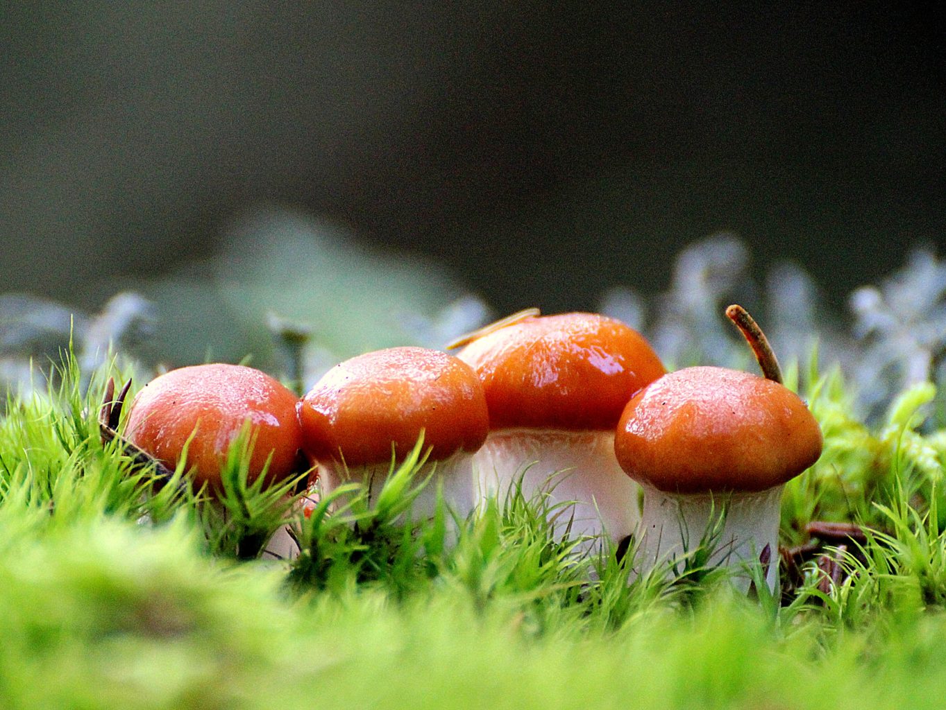 Valokuvaaja: Irja Lehtinen