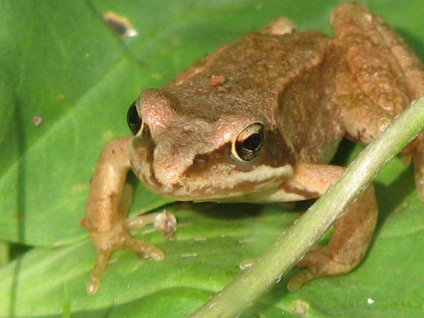 Valokuvaaja: Anni Tanner Valokuvaaja: Anni Tanner