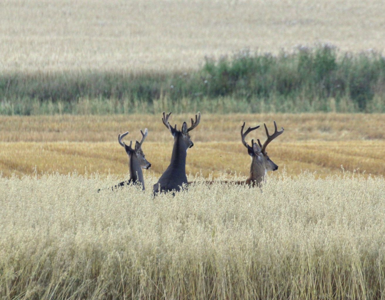 Valokuvaaja: Irja Lehtinen