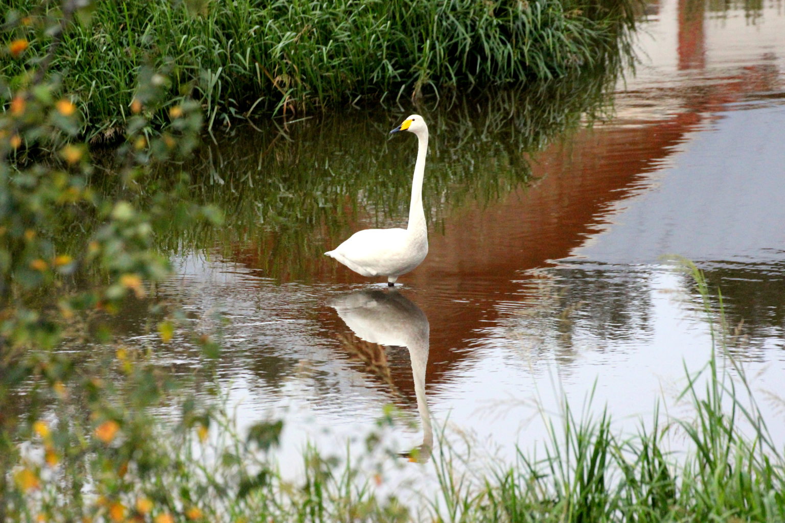 Valokuvaaja: Irja Lehtinen Valokuvaaja: Irja Lehtinen