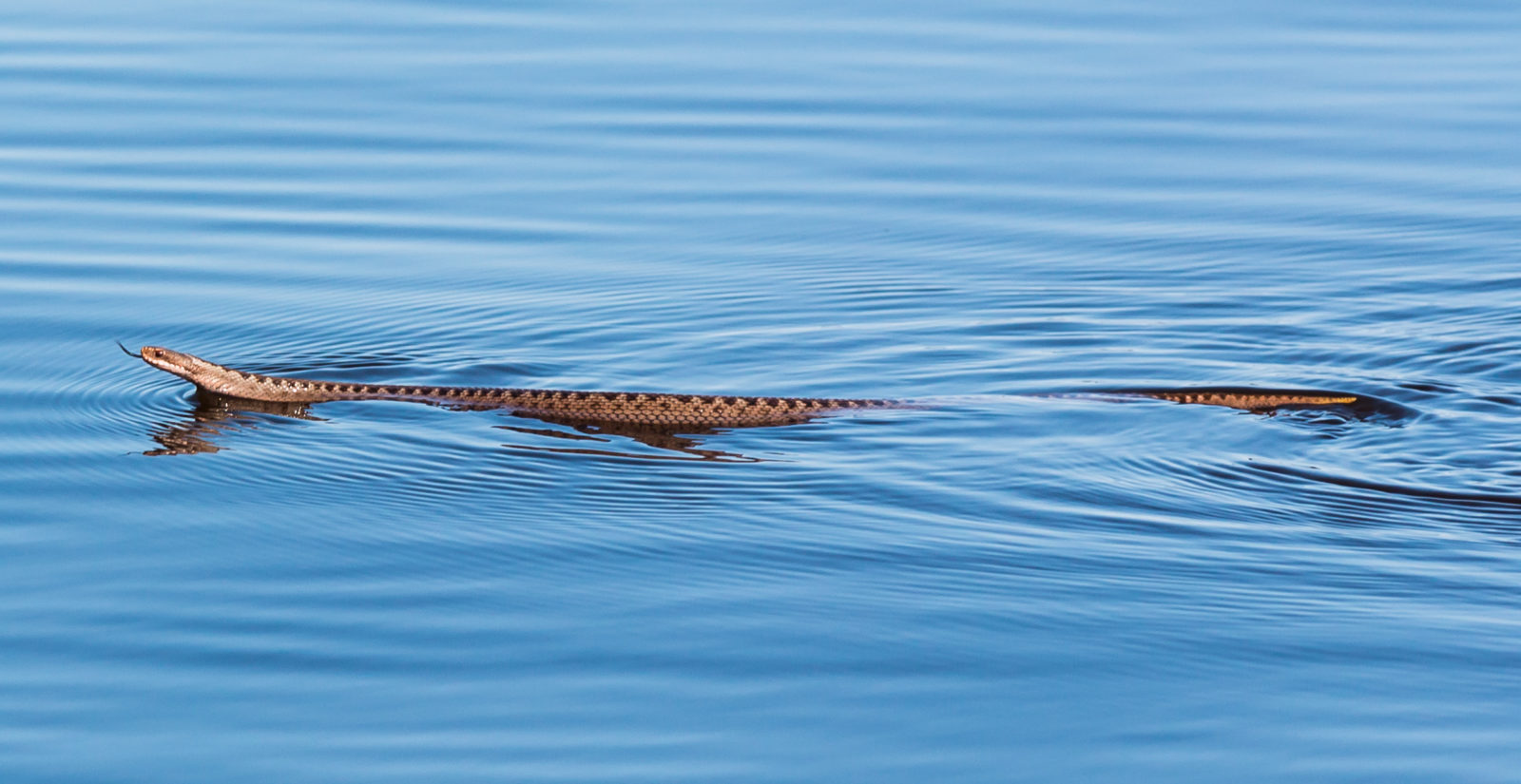 Valokuvaaja: Jouni Mikkonen