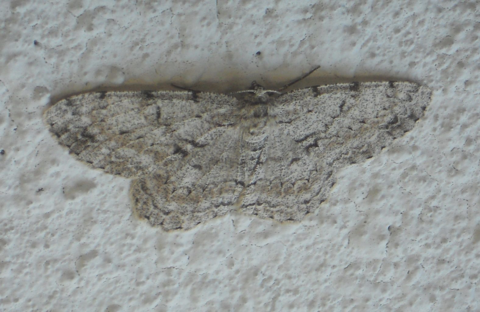 Valokuvaaja: Tiina Arlin