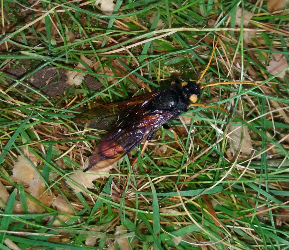 Valokuvaaja: Jouni Korhonen