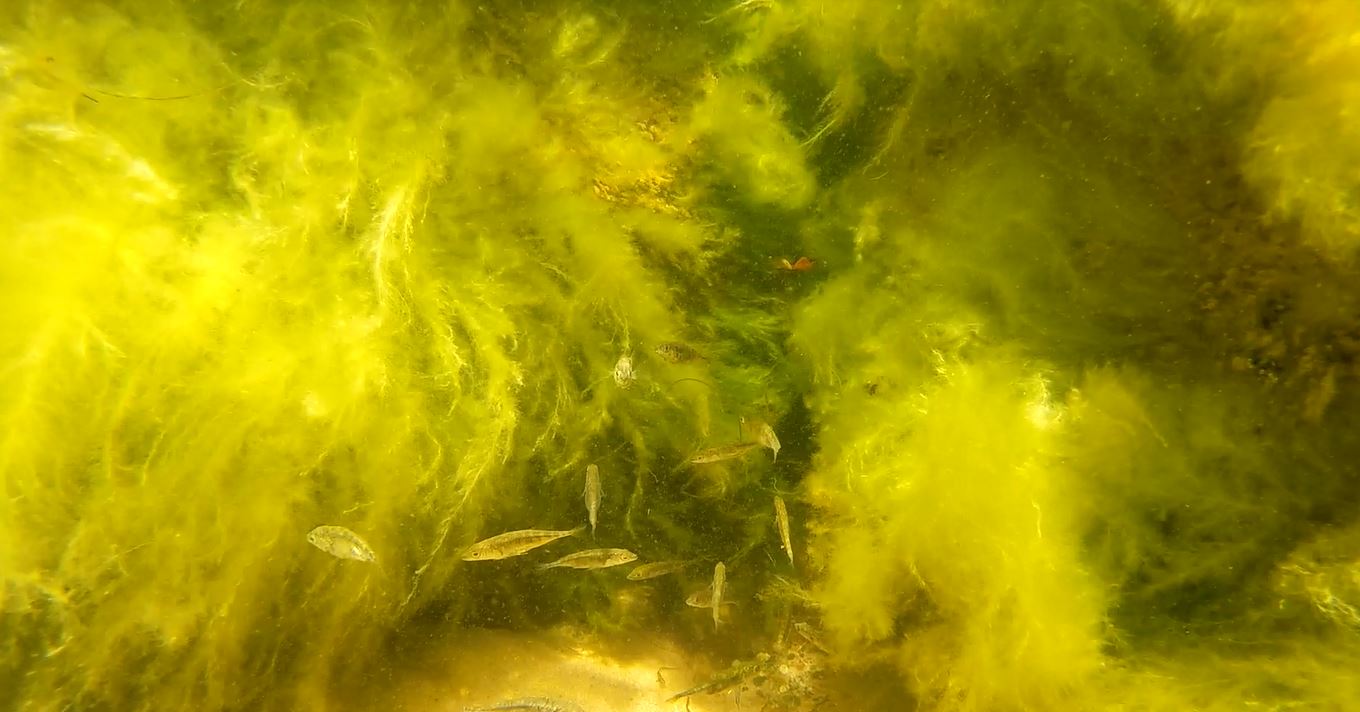 Valokuvaaja: Jasmin Khalef