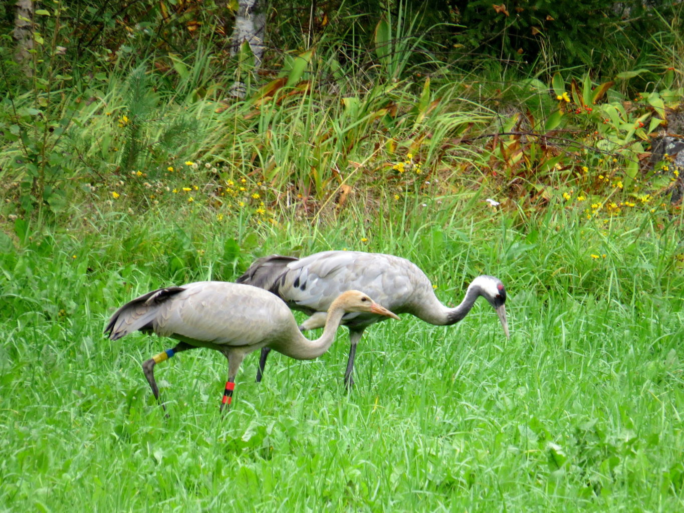 Valokuvaaja: Jaana Talvinen