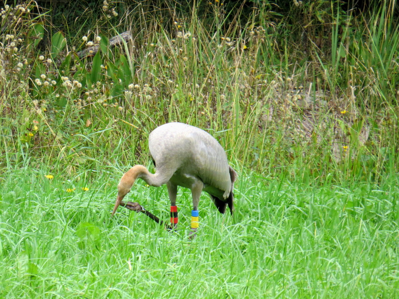 Valokuvaaja: Jaana Talvinen