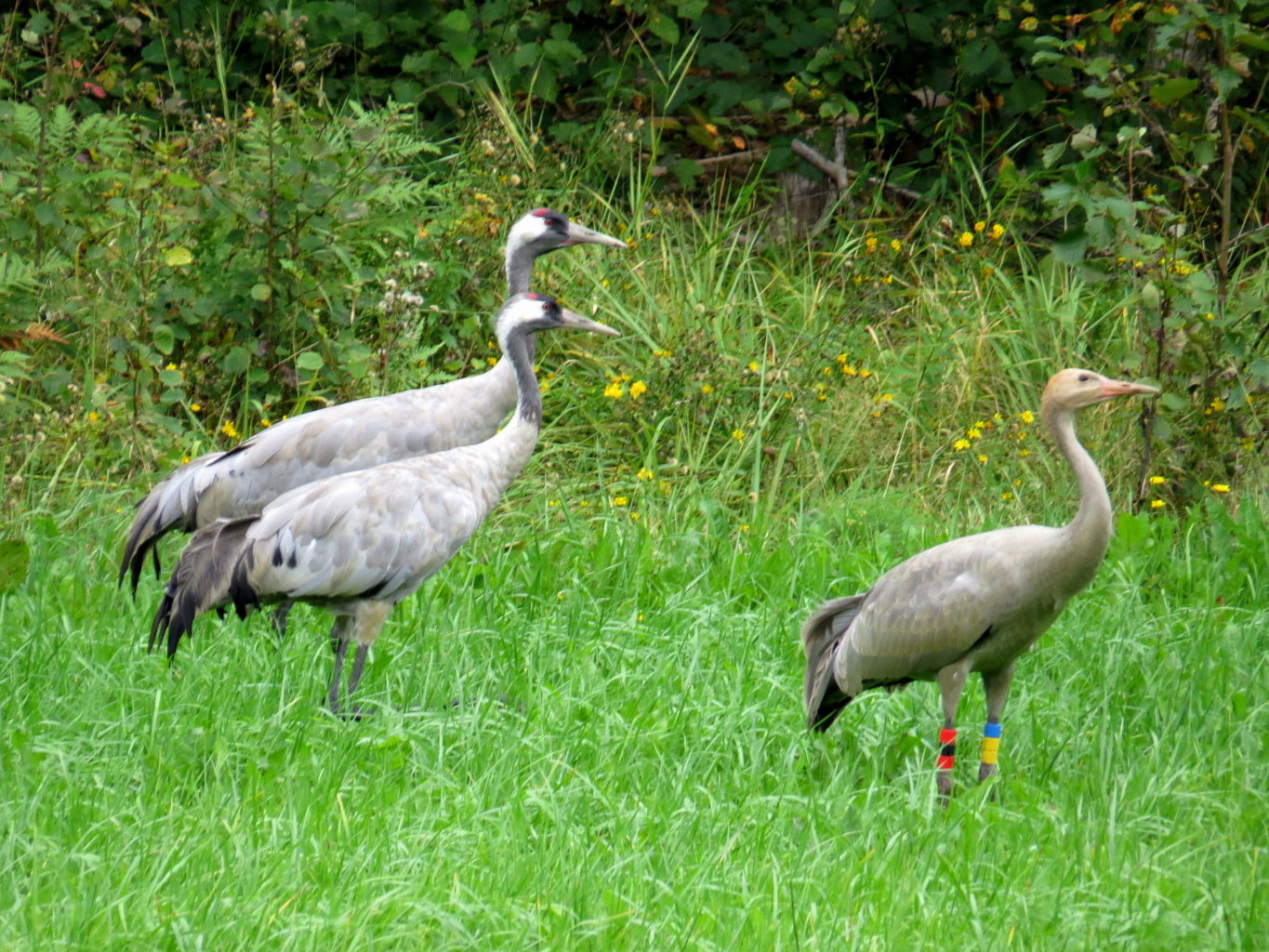 Valokuvaaja: Jaana Talvinen