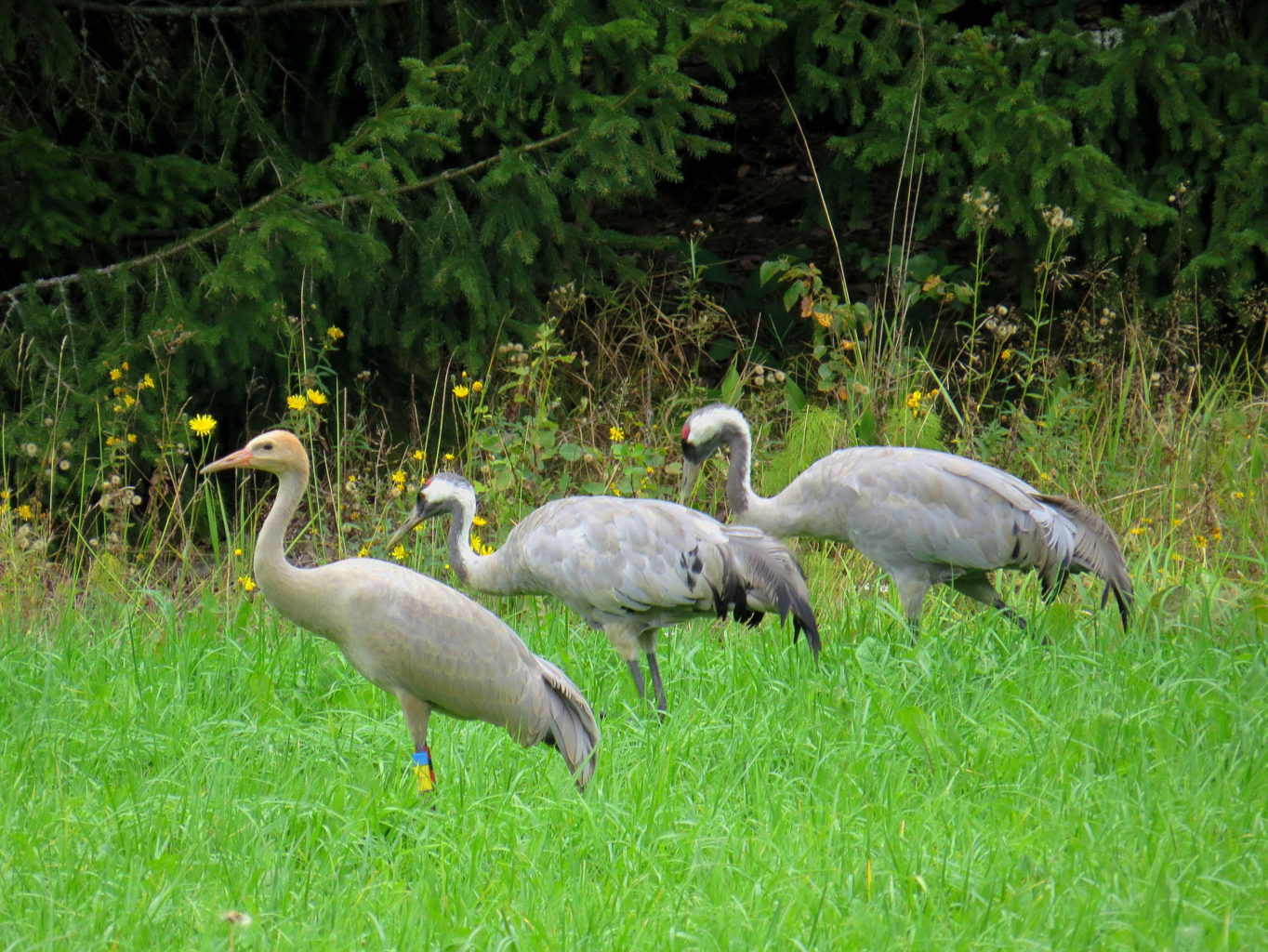 Valokuvaaja: Jaana Talvinen