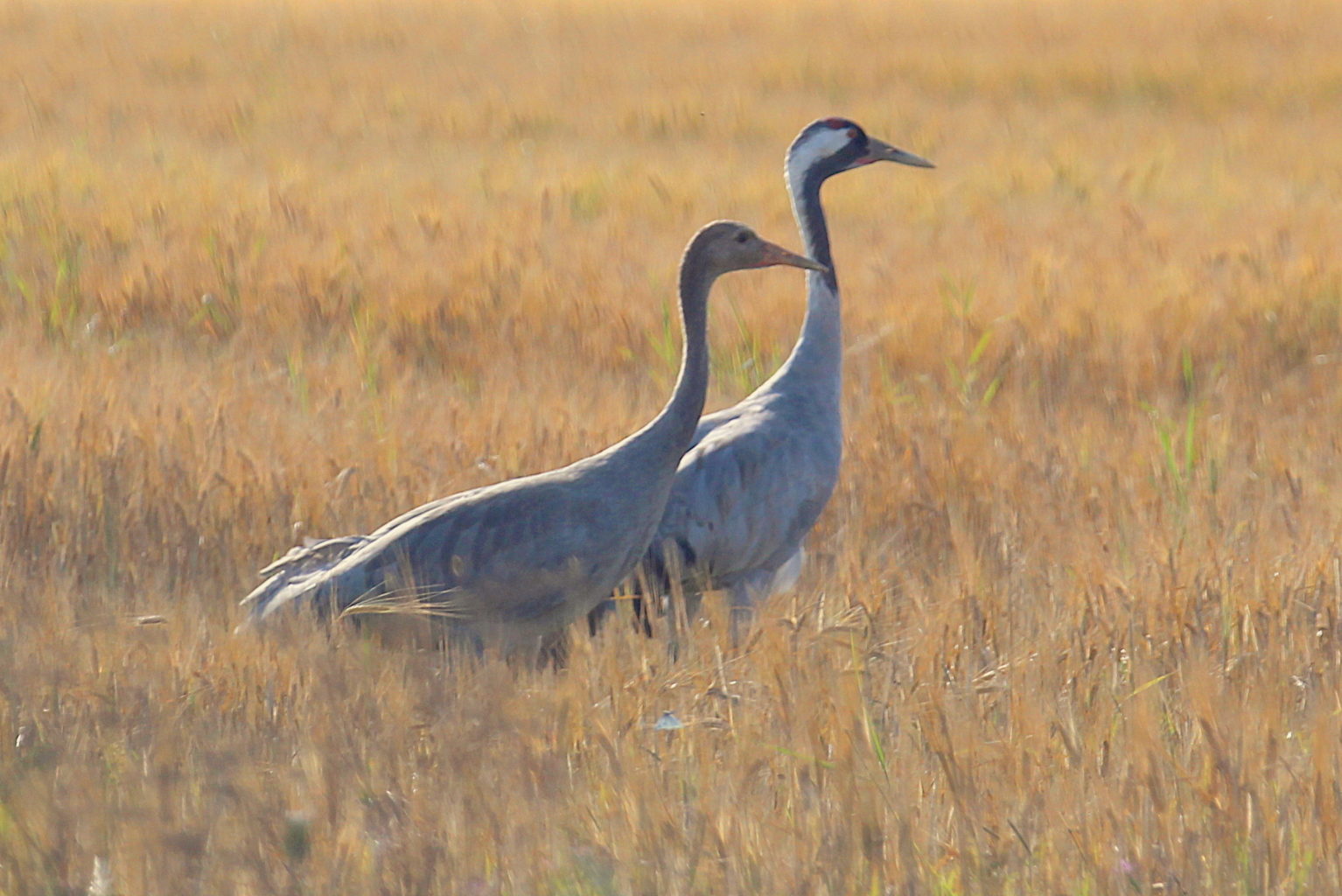 Valokuvaaja: Sirpa Jyske