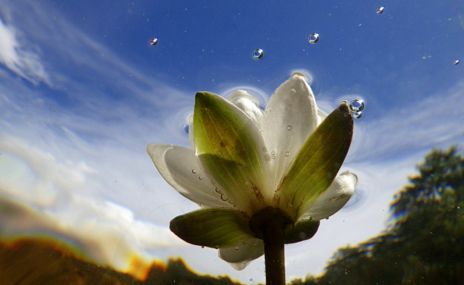 Valokuvaaja: Paula Savelius