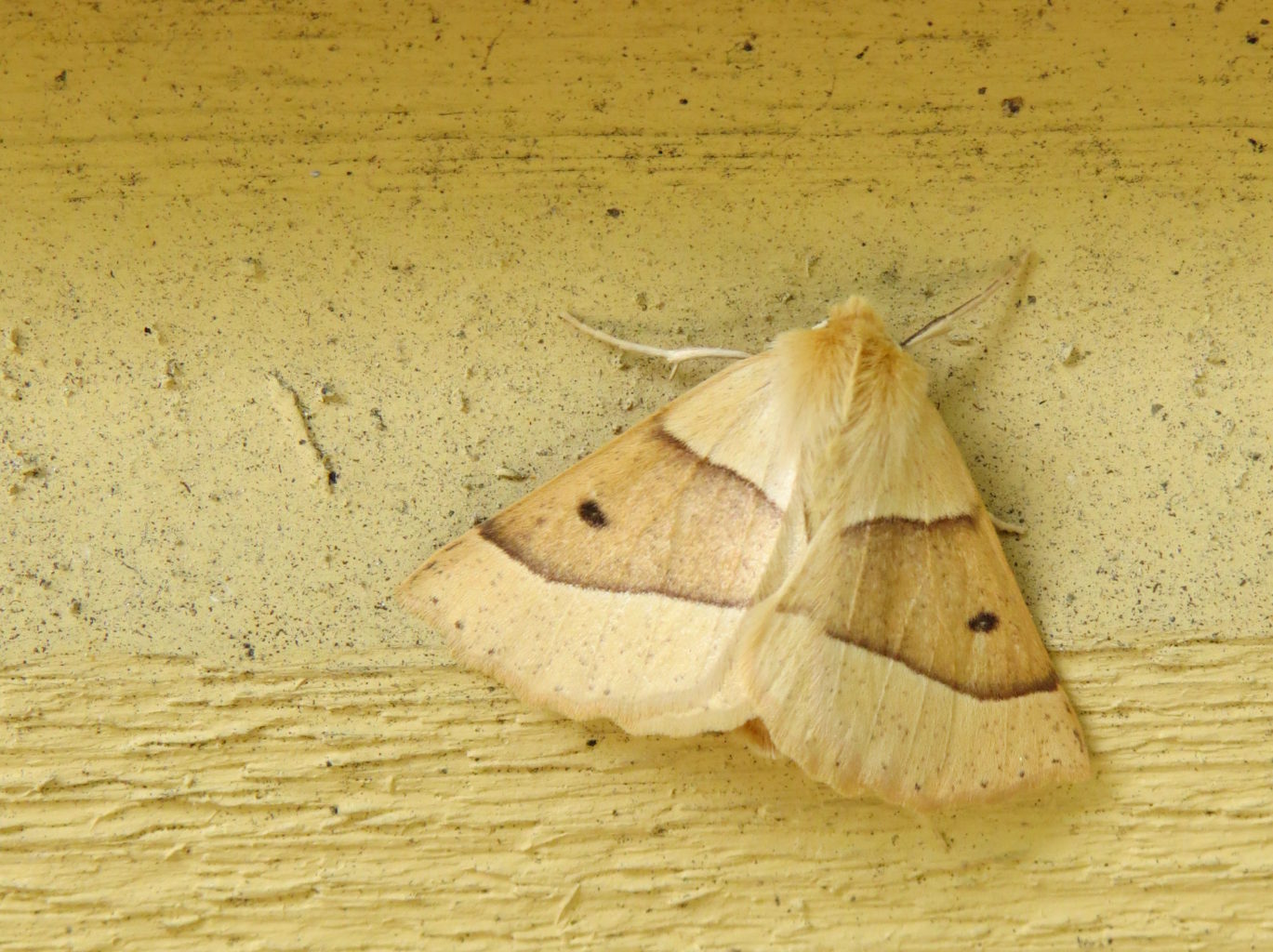 Valokuvaaja: Jaana Talvinen Valokuvaaja: Jaana Talvinen