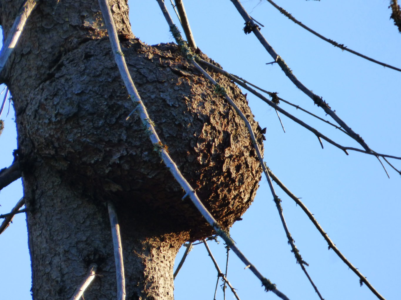 Valokuvaaja: Hannu Rissanen
