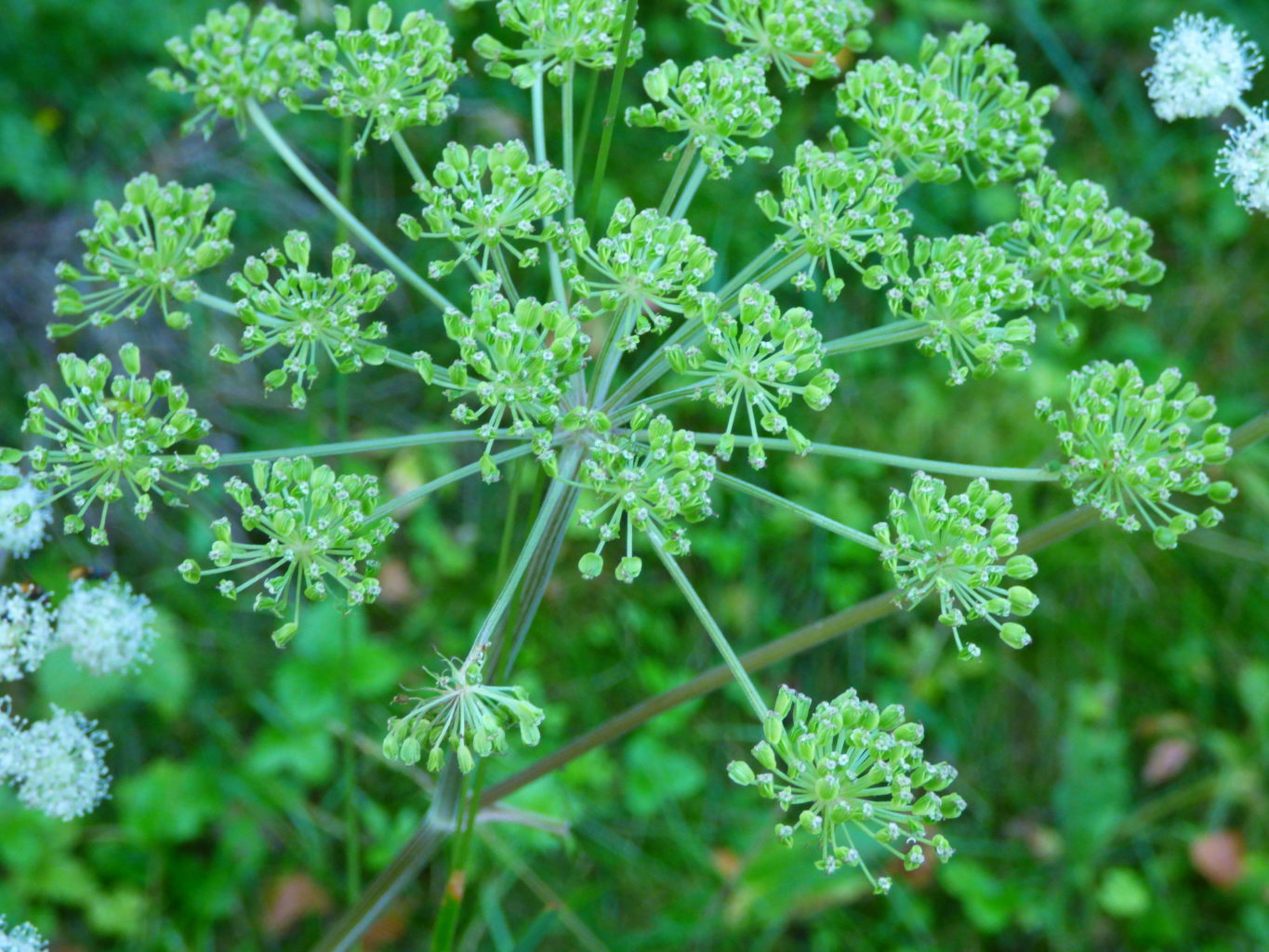 Valokuvaaja: Hannu Rissanen