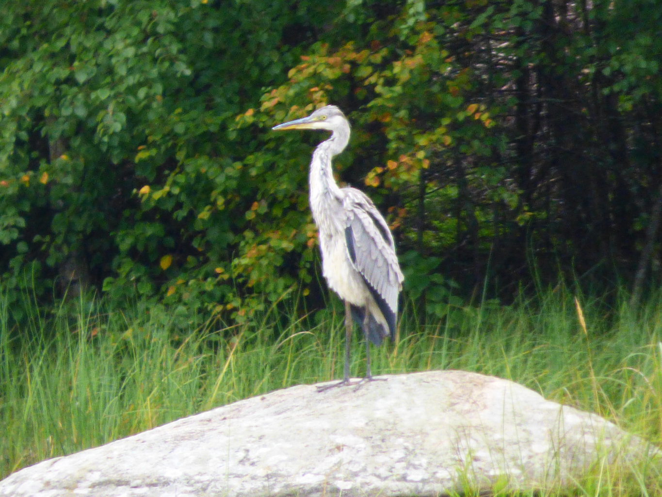 Valokuvaaja: Hannu Rissanen