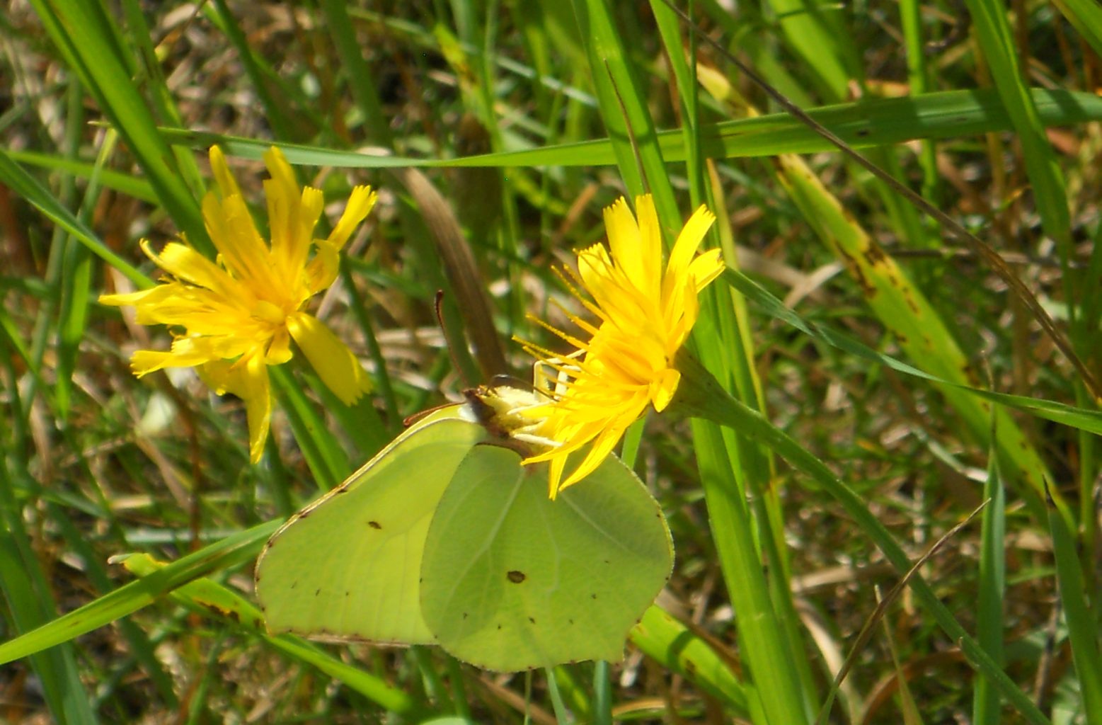 Valokuvaaja: Tiina Arlin