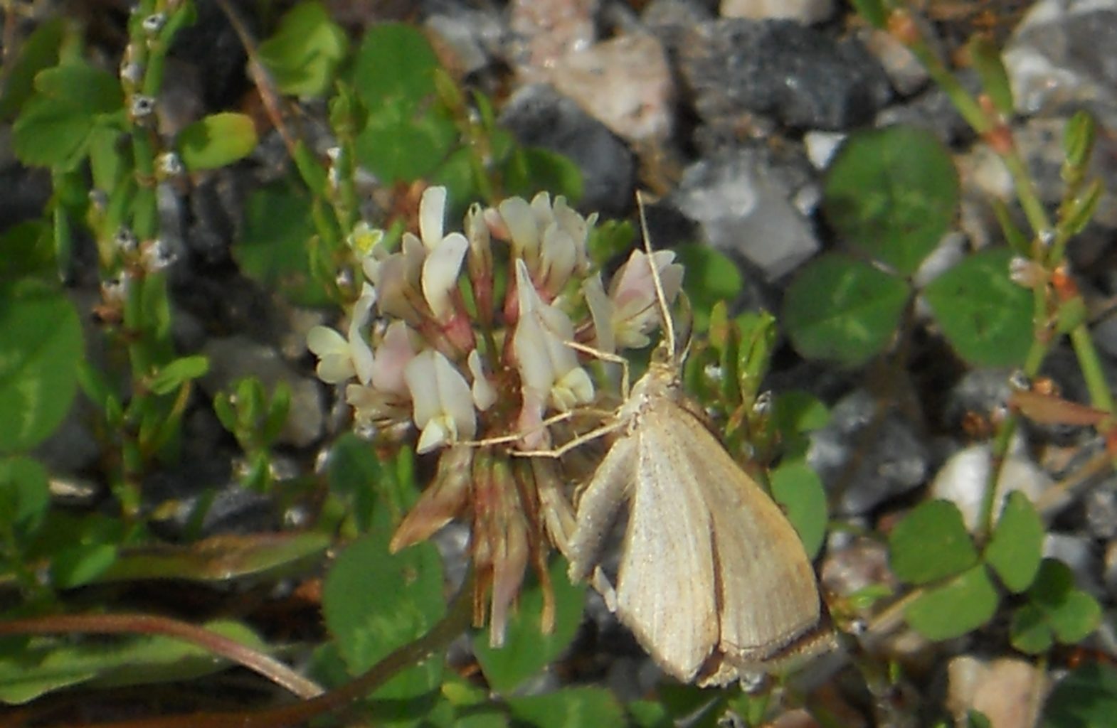 Valokuvaaja: Tiina Arlin