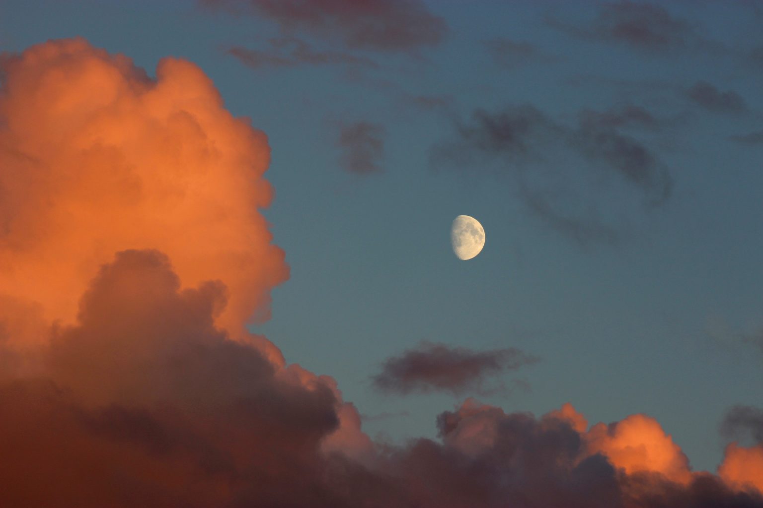 Valokuvaaja: Irja Lehtinen