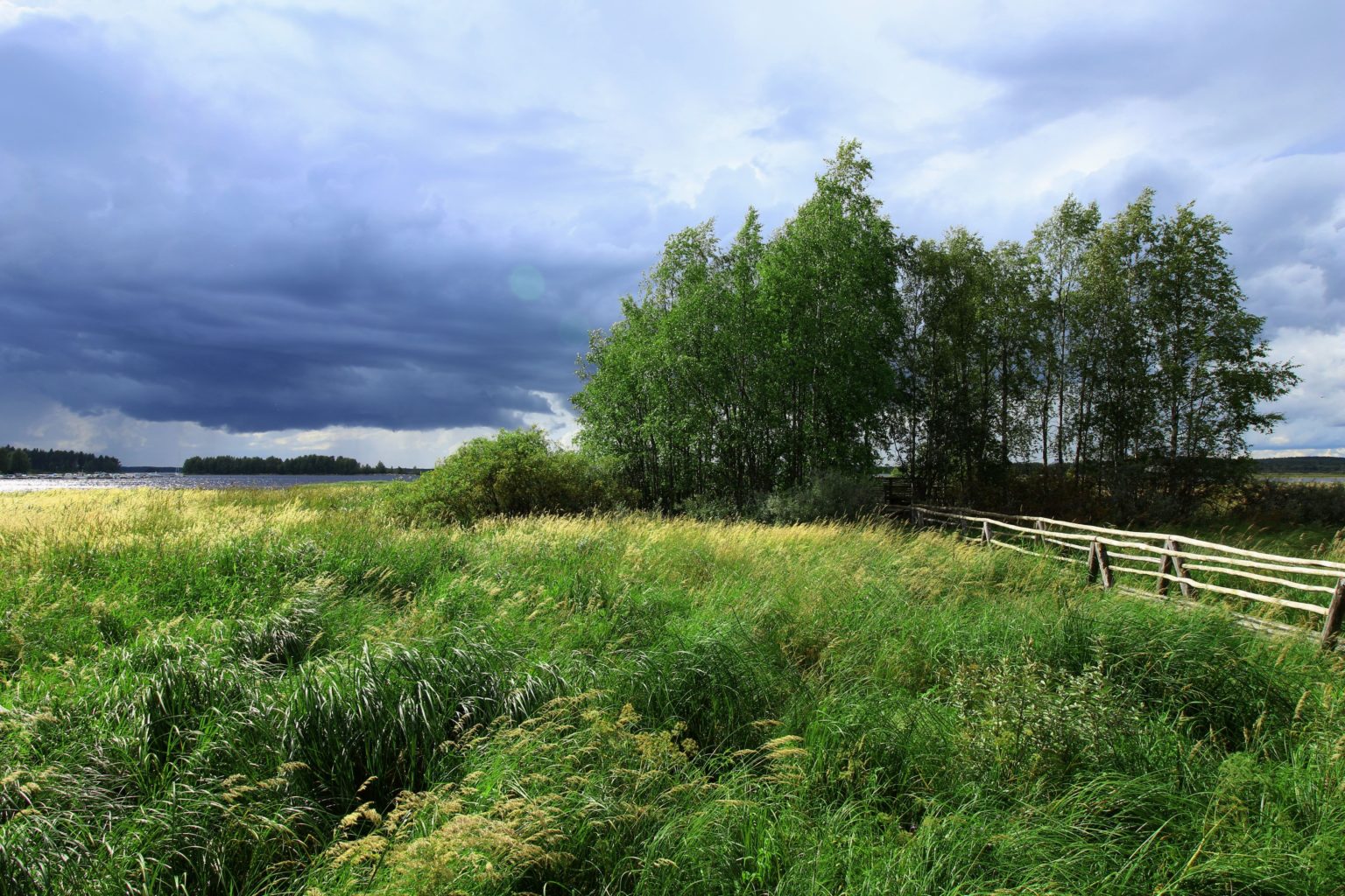 Valokuvaaja: Aimo Räty