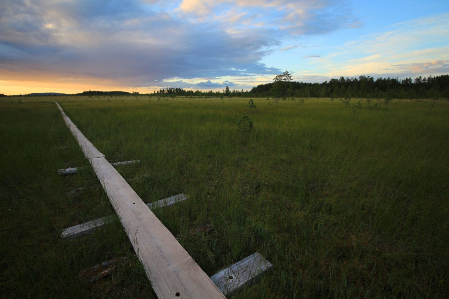 Valokuvaaja: Aimo Räty