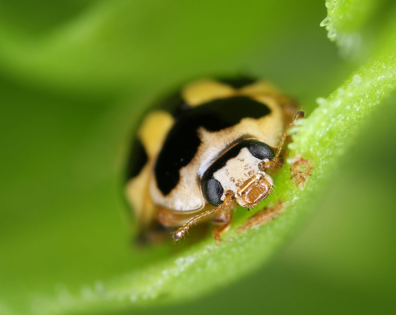 Valokuvaaja: Tarja Porkkala