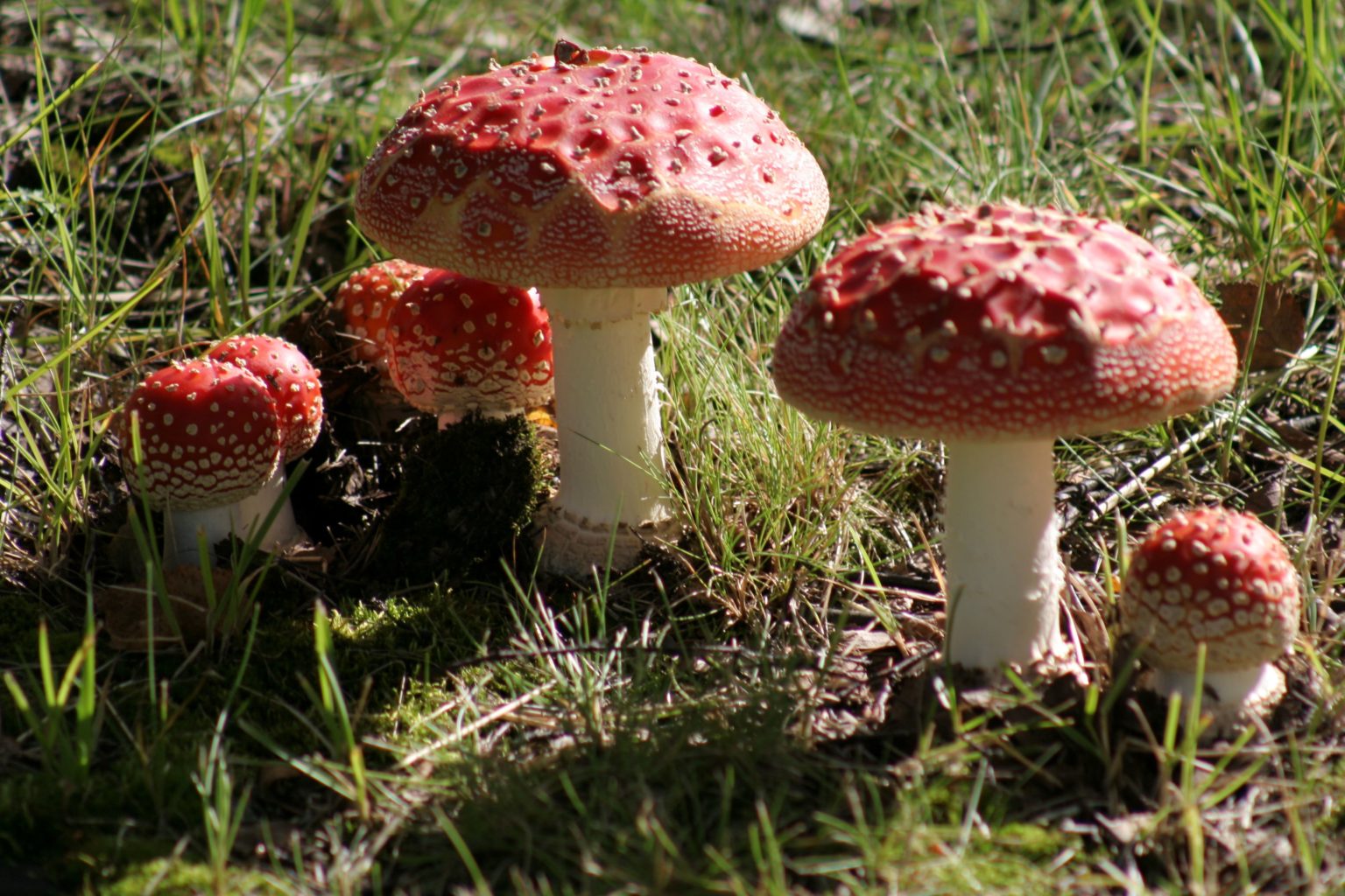 Valokuvaaja: Pirkko Siukonen