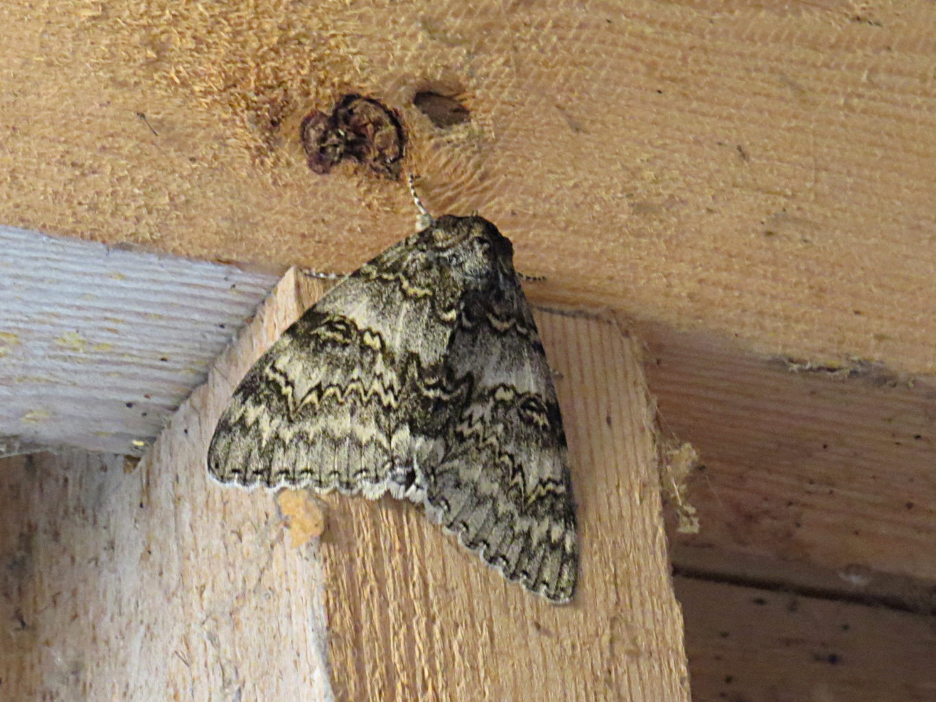 Valokuvaaja: Jaana Talvinen