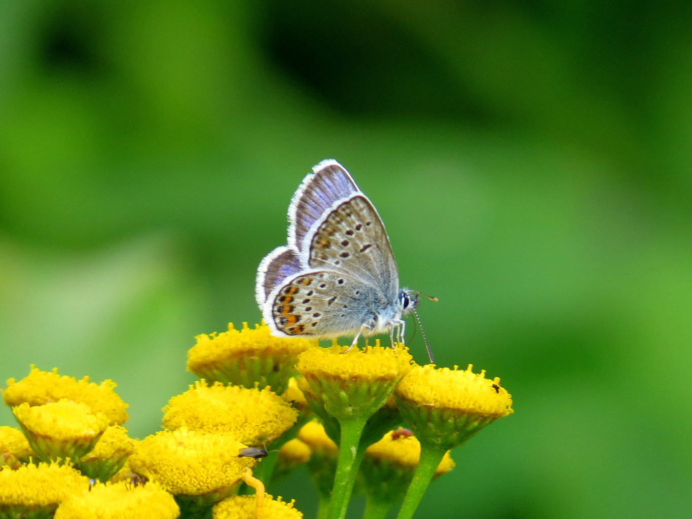 Valokuvaaja: Jaana Talvinen