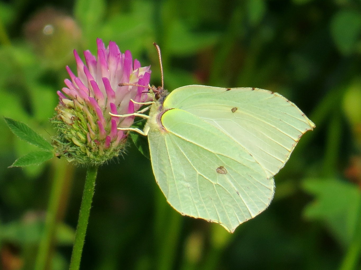 Valokuvaaja: Jaana Talvinen