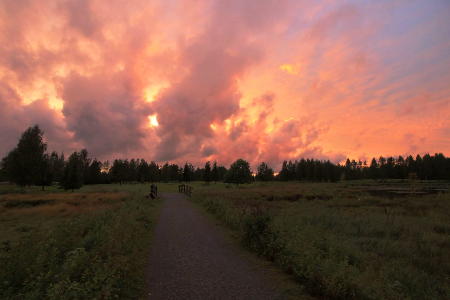 Valokuvaaja: Aimo Räty