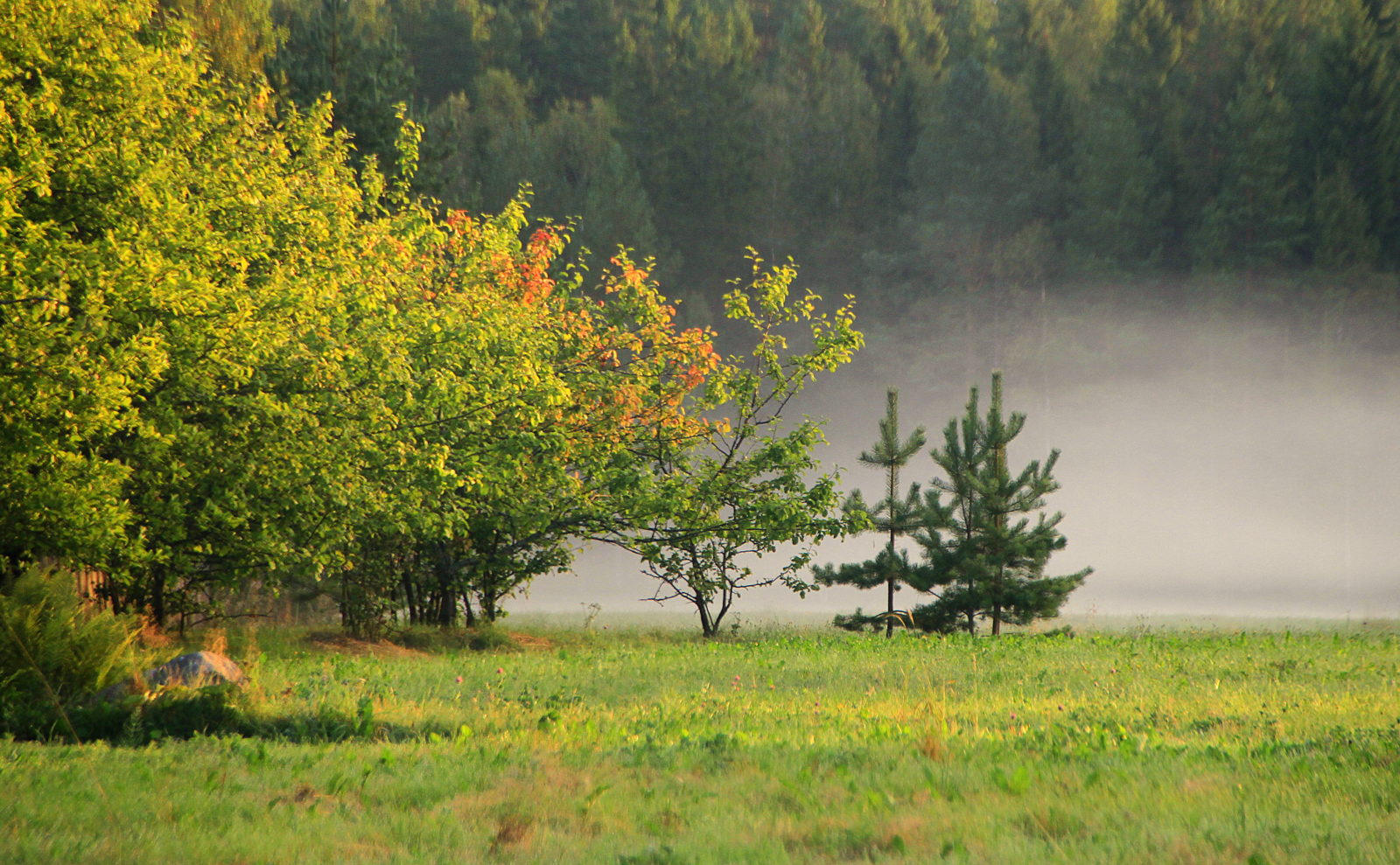 Valokuvaaja: Sirpa Jyske