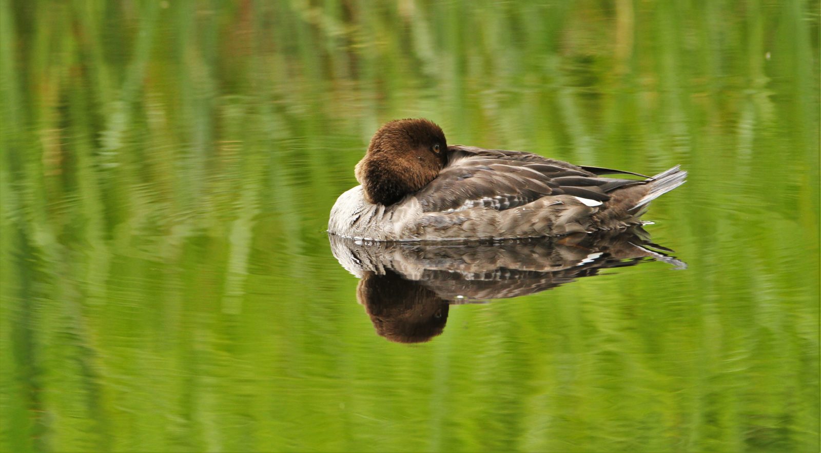 Valokuvaaja: Lasse Kokko