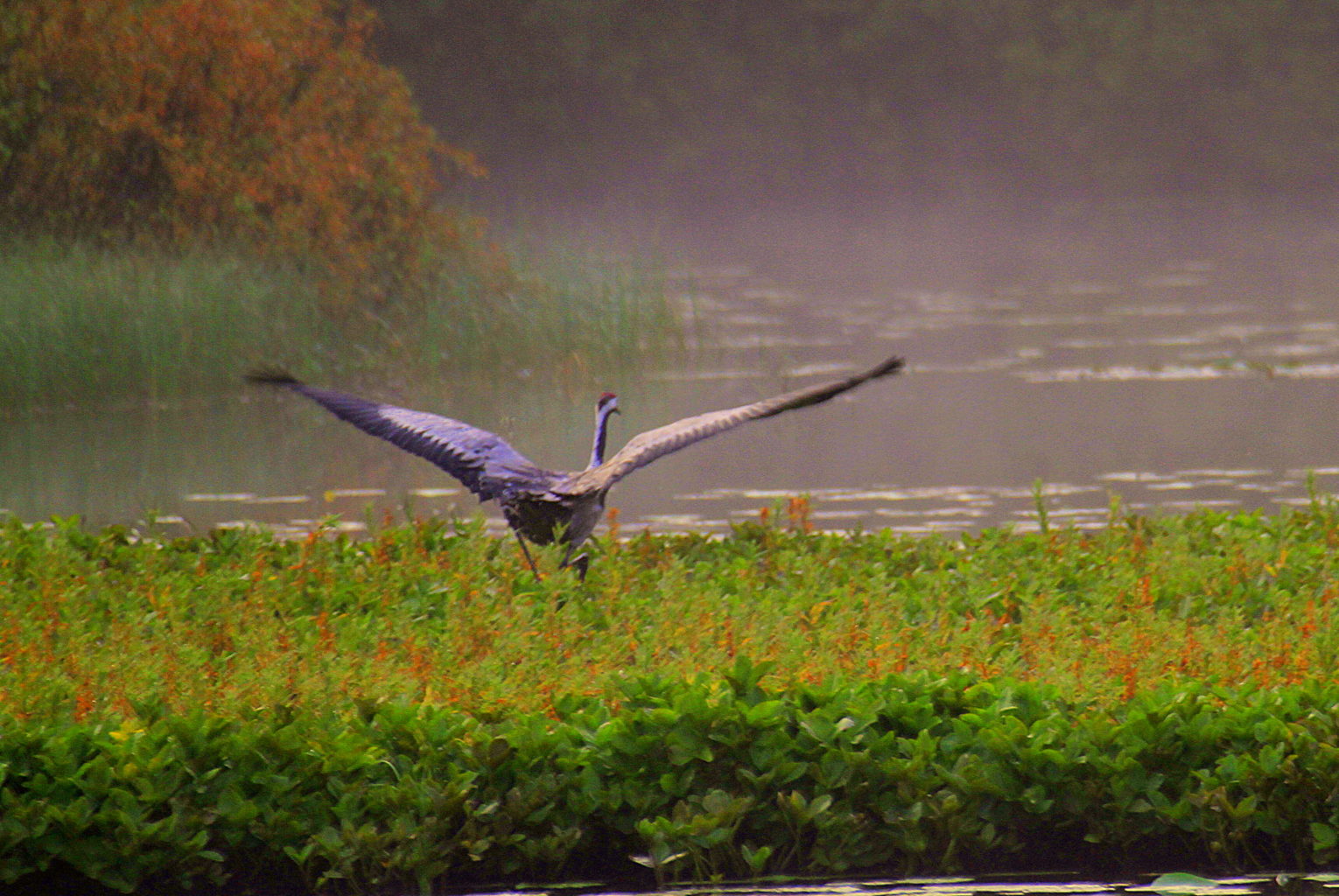 Valokuvaaja: sirpa Jyske