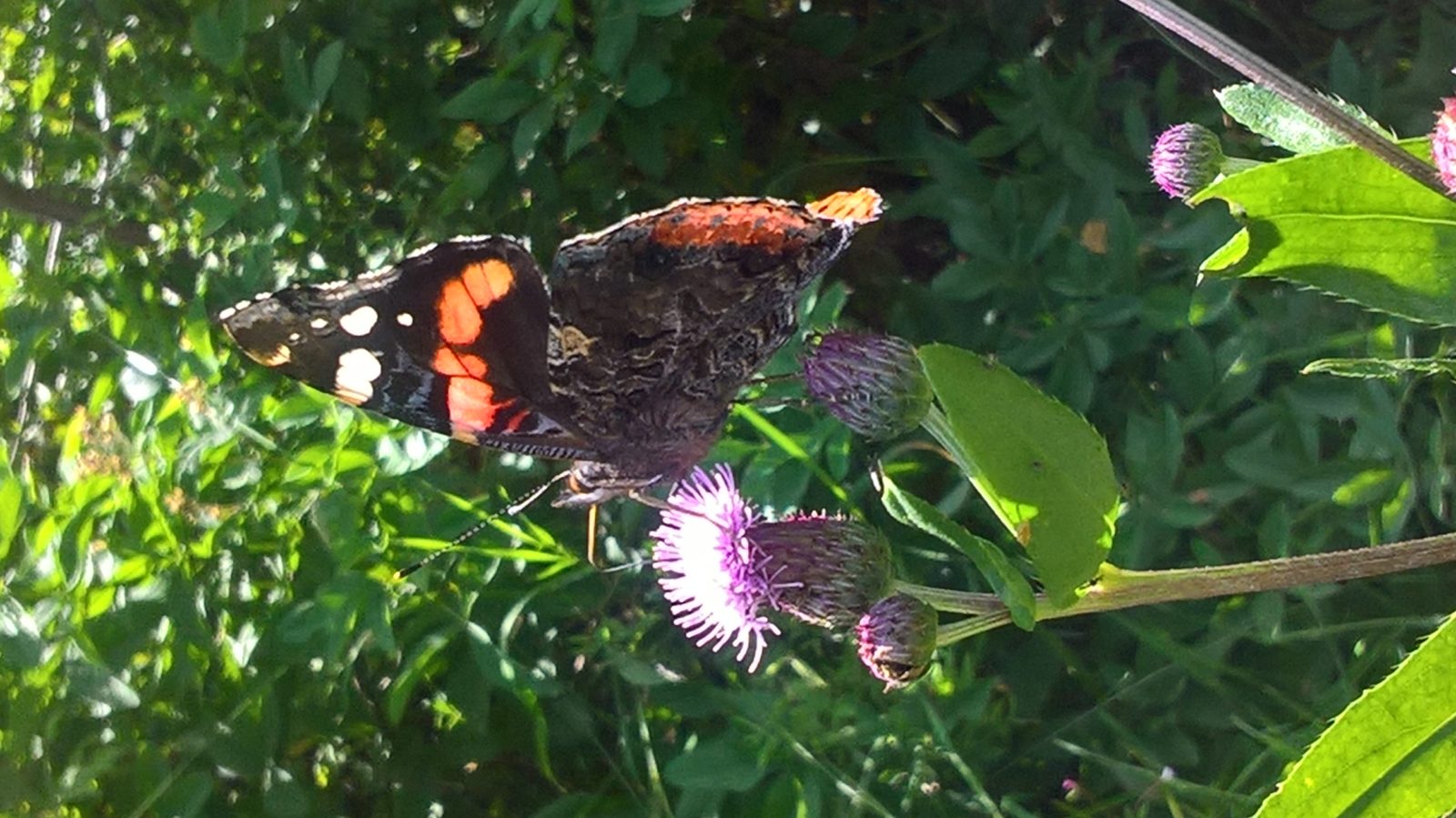 Valokuvaaja: Eija Johanna Saastamoinen